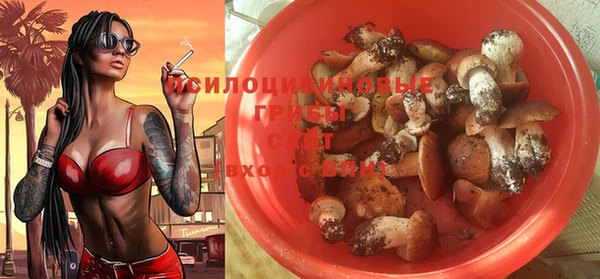 прущая мука Абаза