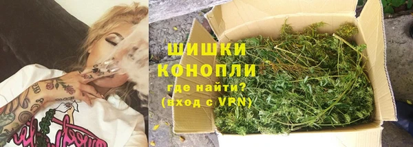 ПСИЛОЦИБИНОВЫЕ ГРИБЫ Алзамай