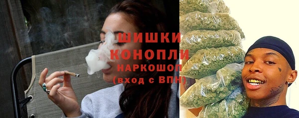 ПСИЛОЦИБИНОВЫЕ ГРИБЫ Алзамай