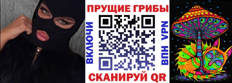 даркнет сайт Волоколамск Псилоцибиновые грибы Psilocybine cubensis